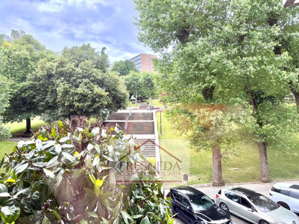 vistas 