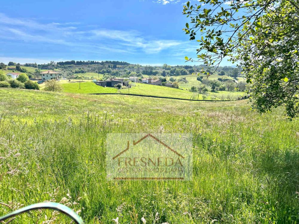 PARCELAS EN VENTA SANTA EULALIA LLANERA