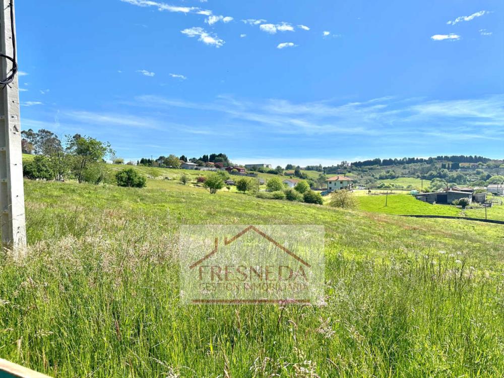 PARCELAS EN VENTA ASTURIAS 