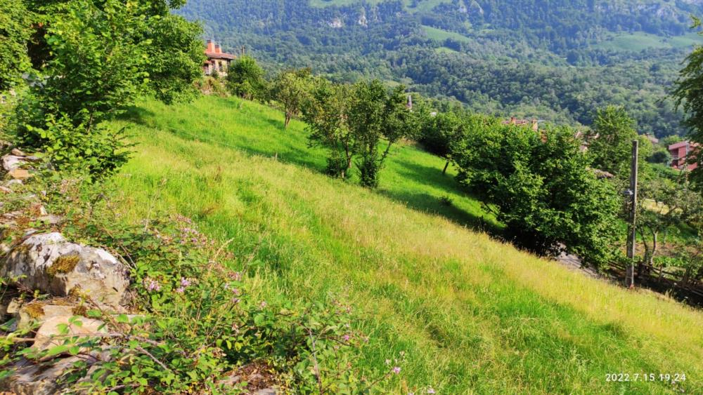 parcela edificable parque de redes Asturias